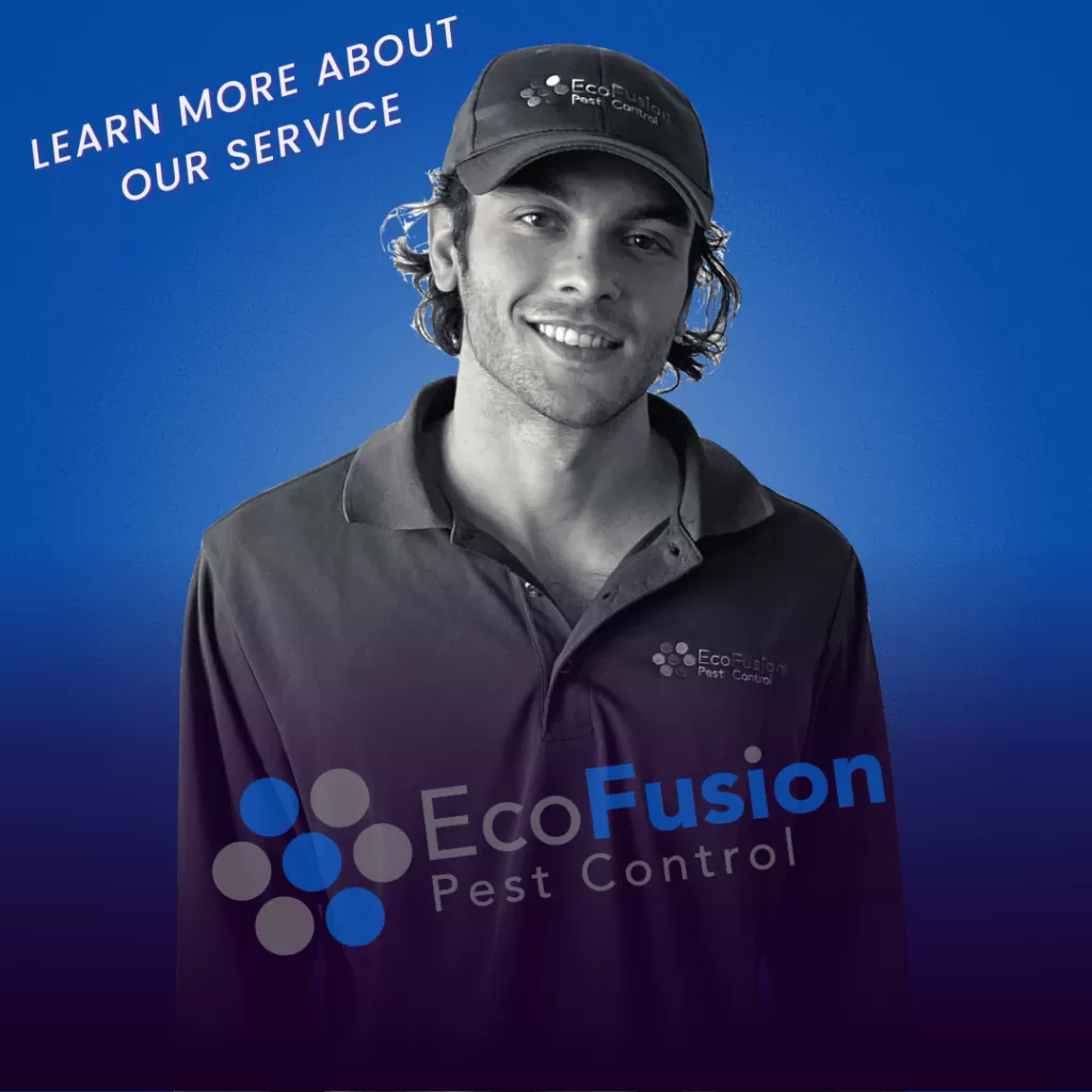 Pest Control West Orange