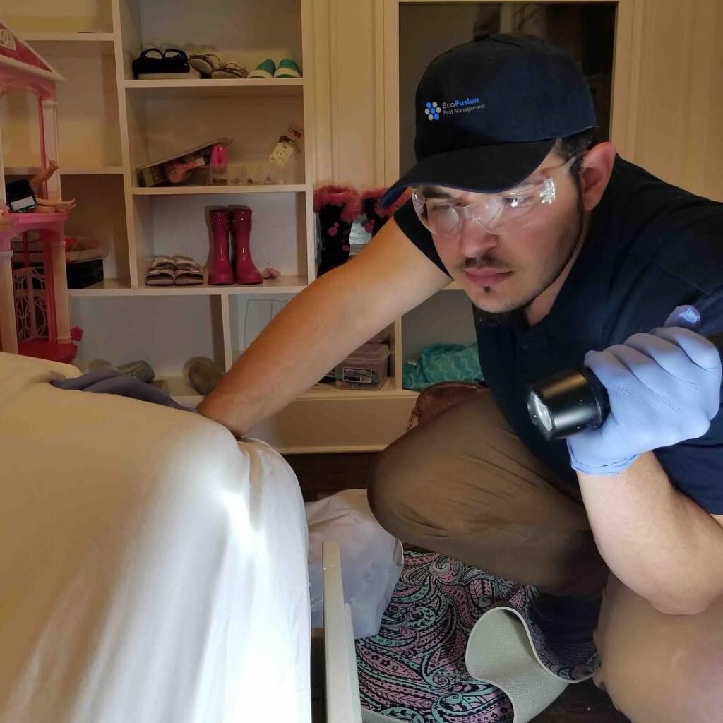 Bed bug control EcoFusion Pest Control pest control