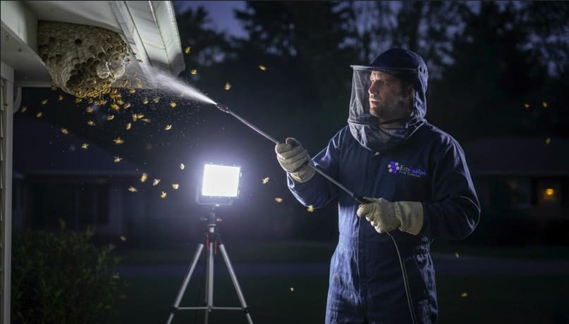 Professional wasp technician performs emergency nest treatment at night, applying targeted spray under a bright work light while wearing full protective gear—including gloves, boots, and a secured mesh veil—to ensure safe and precise wasp control.