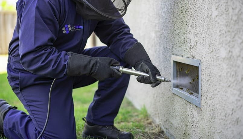Yellow jacket and wasp removal in Aldene, NJ